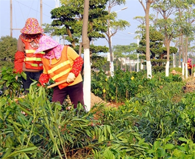 绿化项目施工、维护